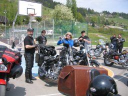 tigri pri mk modras 008